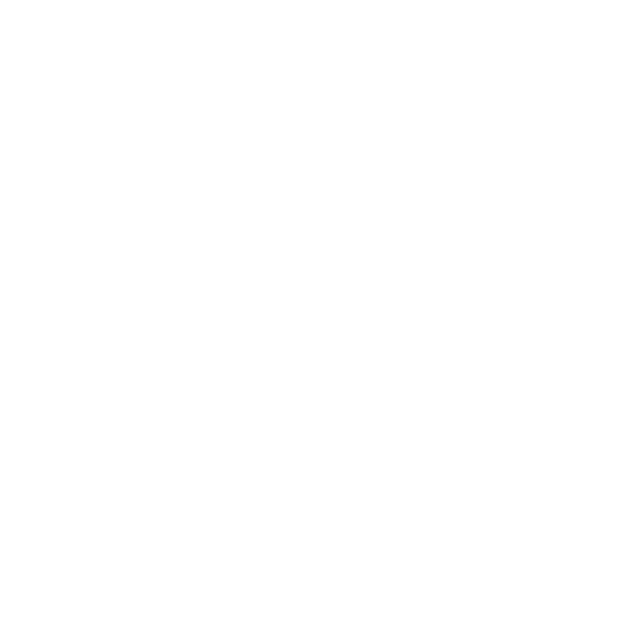 湖北楚商国际货运代理有限公司